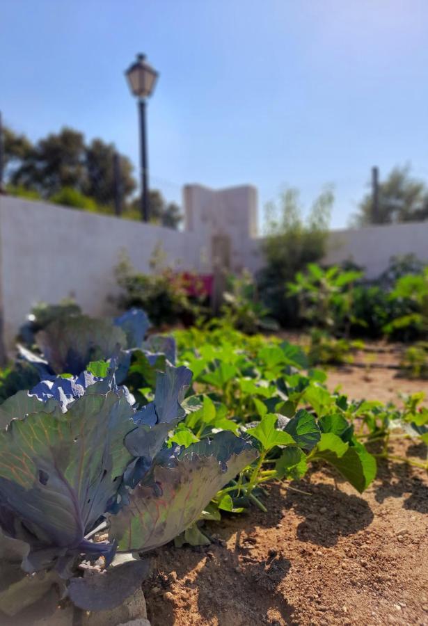 Oasis Sierra Panzió Venturada Kültér fotó